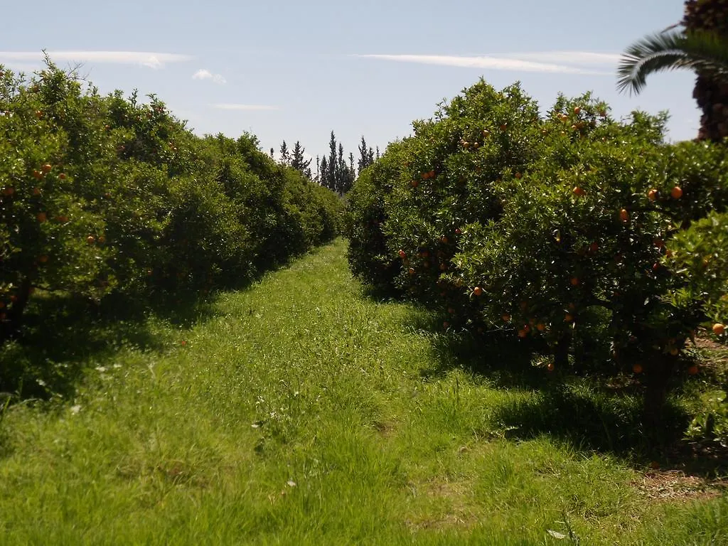 דירות מרקש Domaine Tarik